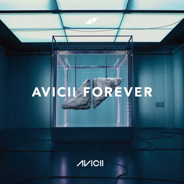 Cover art for Levels (Radio Edit) — Avicii