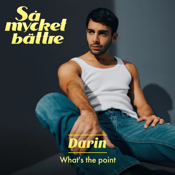 Cover art for What's The Point — Darin